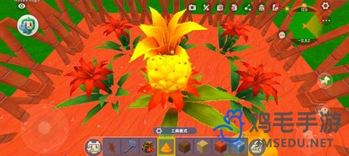 《迷你世界》彼岸菠萝种植方法