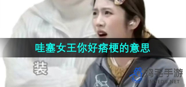 《抖音》哇塞女王你好痞梗的意思介绍