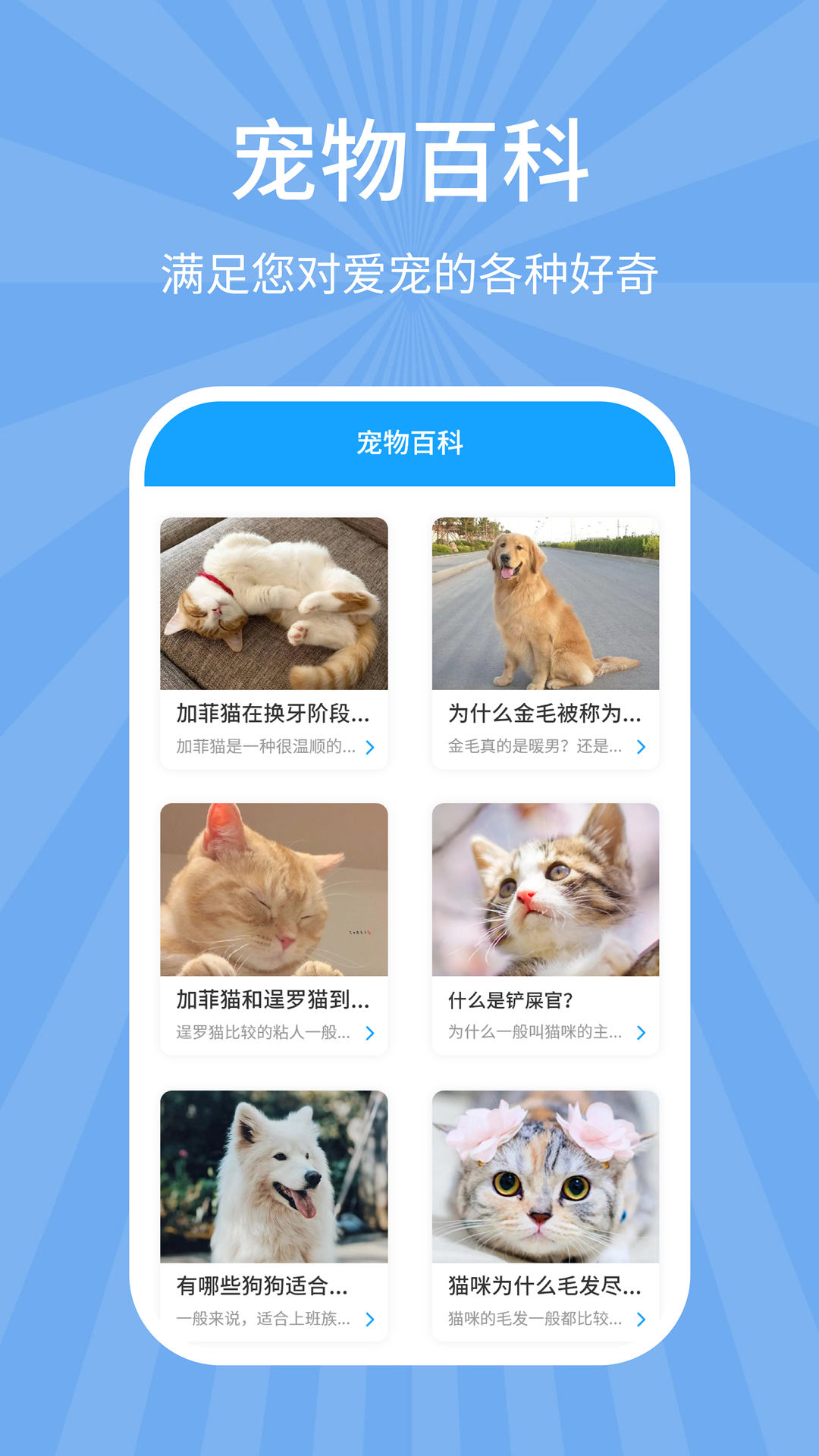 猫狗翻译君