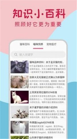 小猫翻译器截图