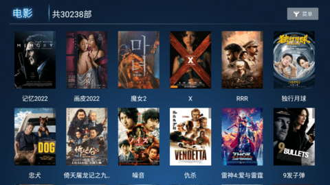 叶子TV会员解锁版截图