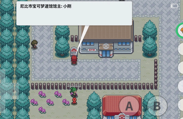 pokemmo rom资源包安卓版